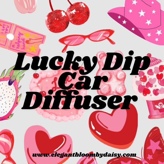 Lucky Dip - Beaded Car Diffuser